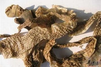 Snake Slough - 1 lb (454 g)