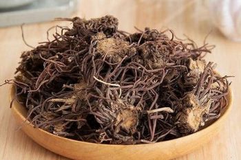 Aster Root - 1 lb (454 g)