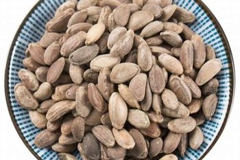 Trichosanthes Seed - 1 lb (454 g)
