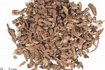 Dipsacus Root - 1 lb (454 g)